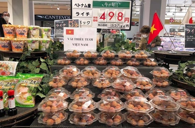 Les entreprises vietnamiennes veulent booster leurs exportations vers le Japon
